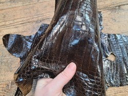 Peau de cuir de crocodile véritable - Marron - Cuir en Stock
