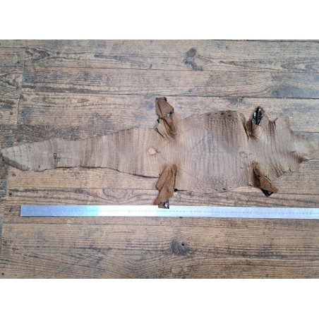 Peau de cuir de crocodile véritable - Marron - Cuir en Stock