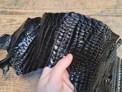 Peau de cuir de crocodile véritable - Noir