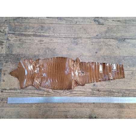 Peau de cuir de crocodile véritable - Brun - Cuir en Stock