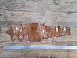 Peau de cuir de crocodile véritable - Brun - Cuir en Stock
