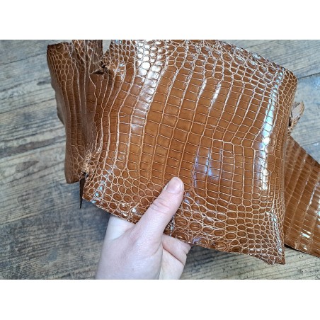 Peau de cuir de crocodile véritable - Brun - Cuir en Stock
