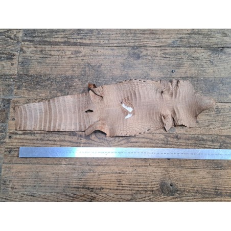 Peau de cuir de crocodile véritable - Brun - Cuir en Stock