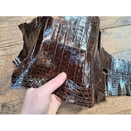 Peau de cuir de crocodile véritable - Chocolat - Cuir en Stock