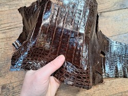 Peau de cuir de crocodile véritable - Chocolat - Cuir en Stock