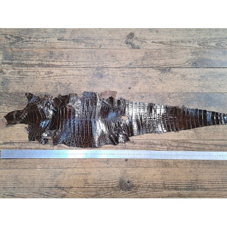 Peau de cuir de crocodile véritable - Chocolat - Cuir en Stock