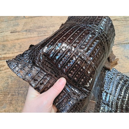 Peau de cuir de crocodile véritable - Café - Cuir en Stock