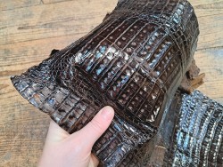 Peau de cuir de crocodile véritable - Café - Cuir en Stock