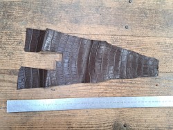 Queue de crocodile - Marron mat - Cuir en Stock