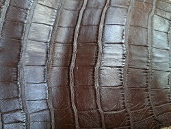 Queue de crocodile - Marron mat - Cuir en Stock