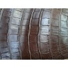 Queue de crocodile - Marron mat - Cuir en Stock