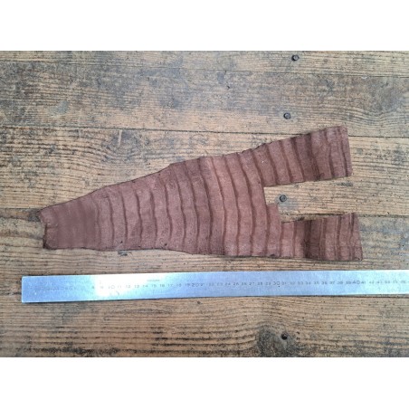 Queue de crocodile - Marron mat - Cuir en Stock