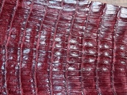 Queue de crocodile nuancée - Pourpre - Cuir en Stock