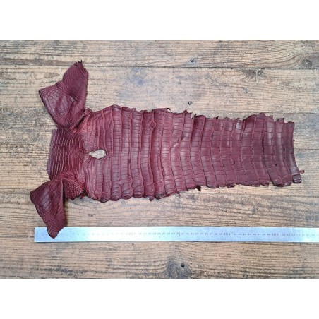 Queue de crocodile - Bordeaux mat - Cuir en Stock