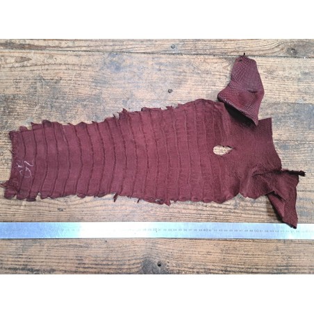 Queue de crocodile - Bordeaux mat - Cuir en Stock