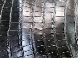 Queue de crocodile - Noir semi mat - Cuir en Stock