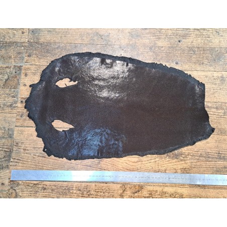 Grande peau de cuir de galuchat véritable - Marron foncé