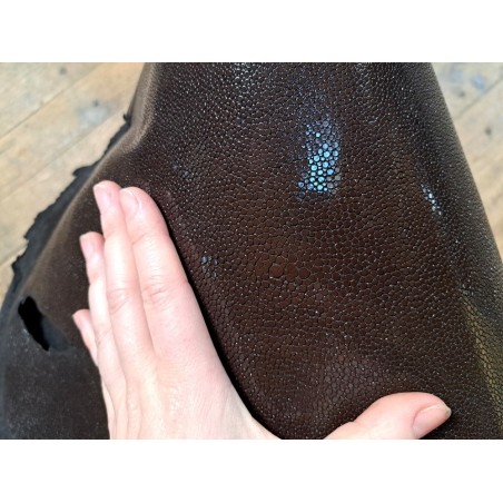 Grande peau de cuir de galuchat véritable - Marron foncé