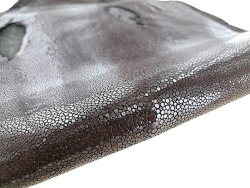 Grande peau de cuir de galuchat véritable - Marron foncé