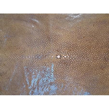 Peau de cuir de galuchat véritable - Kaki - Cuir en Stock