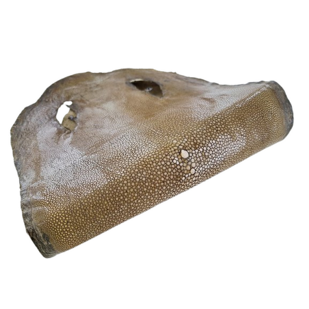 Peau de cuir de galuchat véritable - Kaki - Cuir en Stock