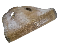 Peau de cuir de galuchat véritable - Kaki - Cuir en Stock