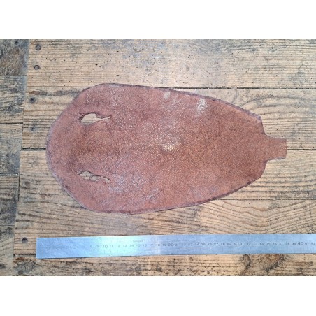 Peau de galuchat - perle centrale - cuir exotique - brun rosé - Cuir en stock