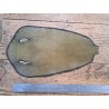 Peau de galuchat - perle centrale - cuir exotique - olive - Cuir en stock