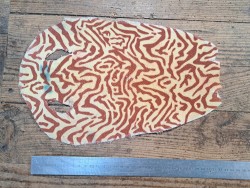 Peau de galuchat - perle centrale - cuir exotique - zèbre - Cuir en stock