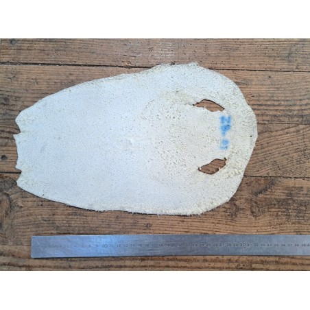 Peau de galuchat - perle centrale - cuir exotique - zèbre - Cuir en Stock