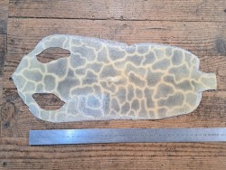 Peau de galuchat - perle centrale - cuir exotique - girafe beige/gris clair  - Cuir en stock