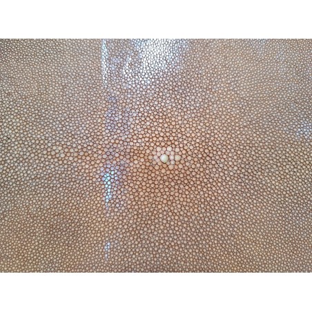 Peau de galuchat - perle centrale - cuir exotique - sable  - Cuir en Stock