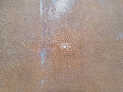 Peau de galuchat - perle centrale - cuir exotique - sable  - Cuir en Stock