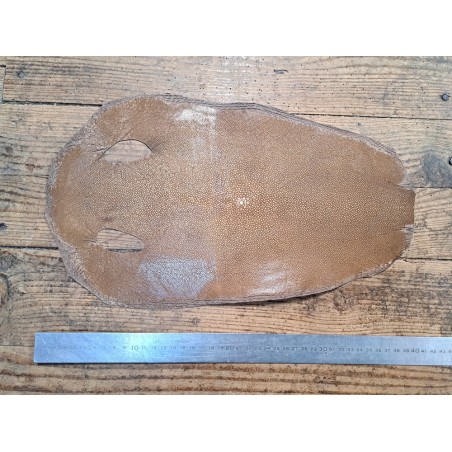 Peau de galuchat - perle centrale - cuir exotique - sable  - Cuir en stock