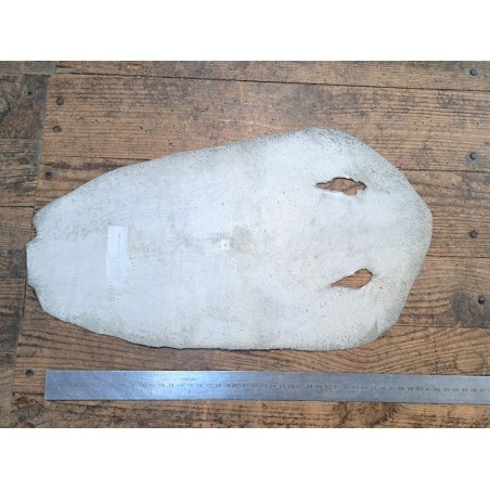 Peau de galuchat - perle centrale - cuir exotique - holographique argenté  - Cuirenstock