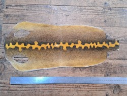 Peau de galuchat - perle centrale - cuir exotique - salamandre jaune  - Cuir en stock