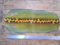 Peau de galuchat - perle centrale - cuir exotique - salamandre Vert  - Cuir en stock