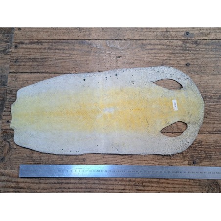 Peau de galuchat - perle centrale - cuir exotique - salamandre Vert  - Cuir en Stock