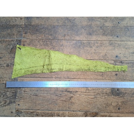 lot cabillaud - vert anis/nacré beige - Cuirenstock