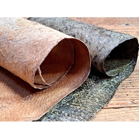 lot cabillaud - kaki/beige nacré or - cuirenstock