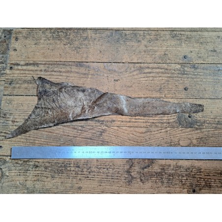 lot cabillaud - violet/taupe - cuirenstock