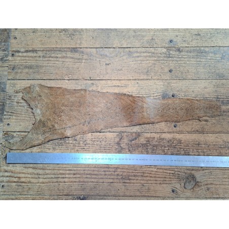 lot cabillaud - brun/blanc nacrée orange - cuirenstock