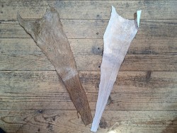 lot cabillaud - brun/blanc nacrée orange - Cuir en stock