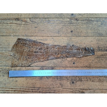 lot cabillaud - nuancé brun/noir métallisé or- Cuir en Stock