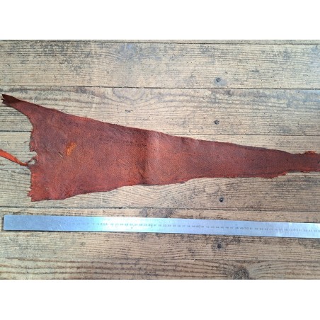 lot cabillaud - brun nuancé/rouge orangé - Cuirenstock