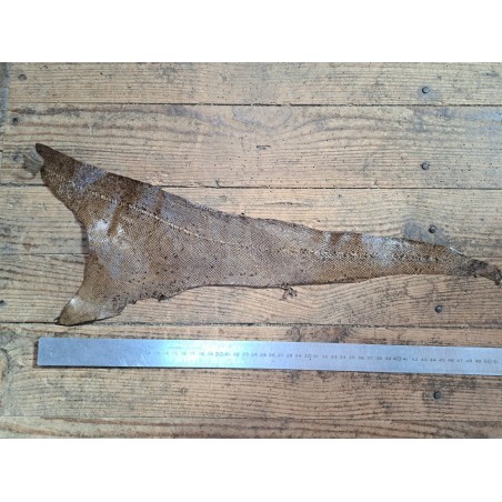 lot cabillaud - brun nuancé/rouge orangé - cuir en stock