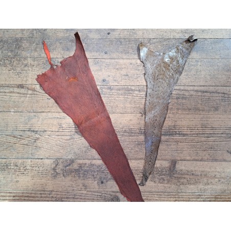 lot cabillaud - brun nuancé/rouge orangé - Cuir en stock