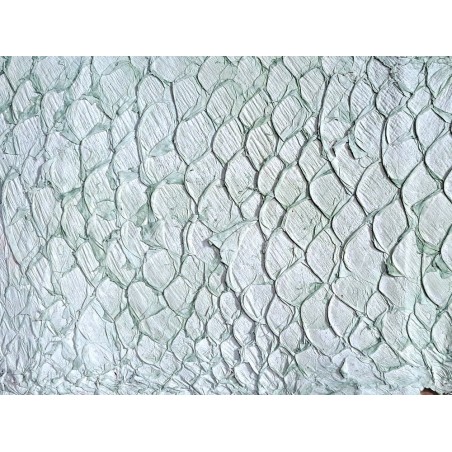 grande tilapia - marin - vert d'eau - cuirenstock