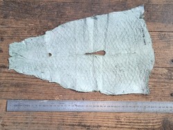 grande tilapia - marin - vert d'eau - cuir en stock