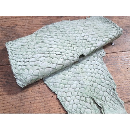 grande tilapia - marin - vert d'eau - cuir en stock